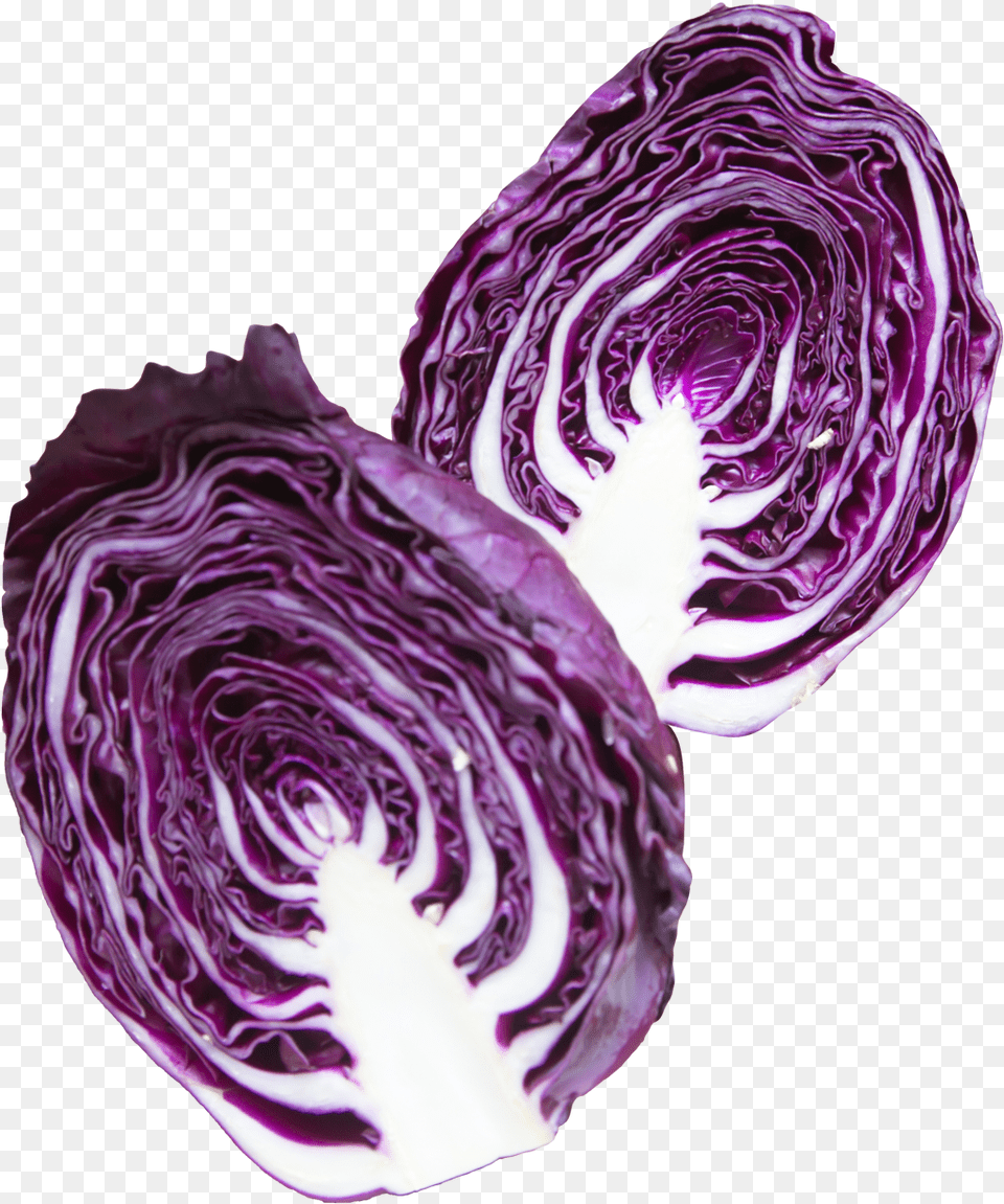 Napa Cabbage Purple Purple Cabbage, Food, Leafy Green Vegetable, Plant, Produce Free Png Download