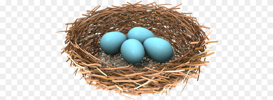 Download Nest Bird Nest Background, Egg, Food Free Transparent Png