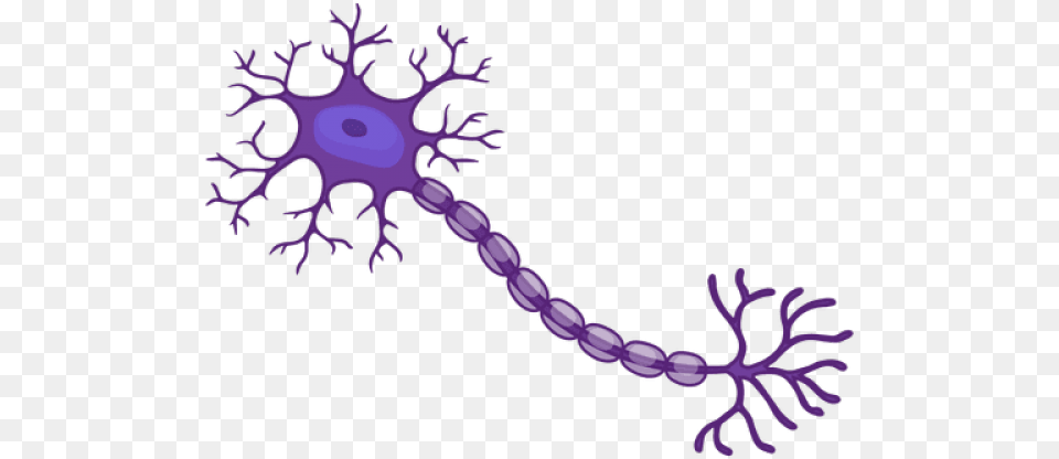 Neuron With No Transparent Neuron, Purple, Accessories, Pattern Free Png Download