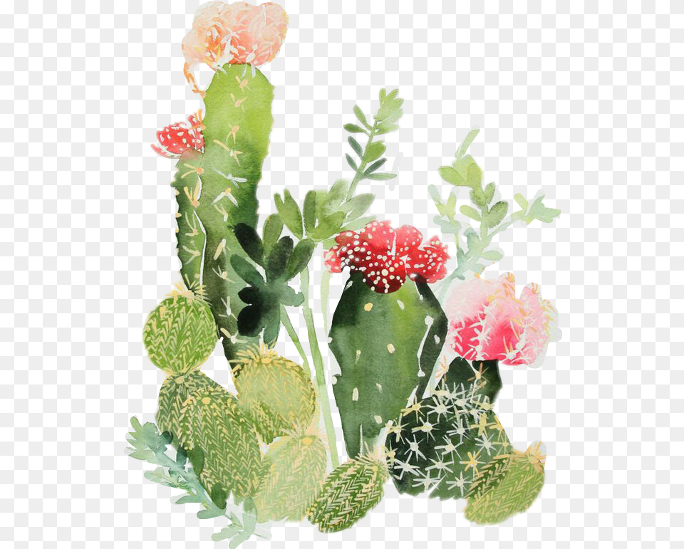 Download Nopales Watercolor Cactus, Plant Png Image