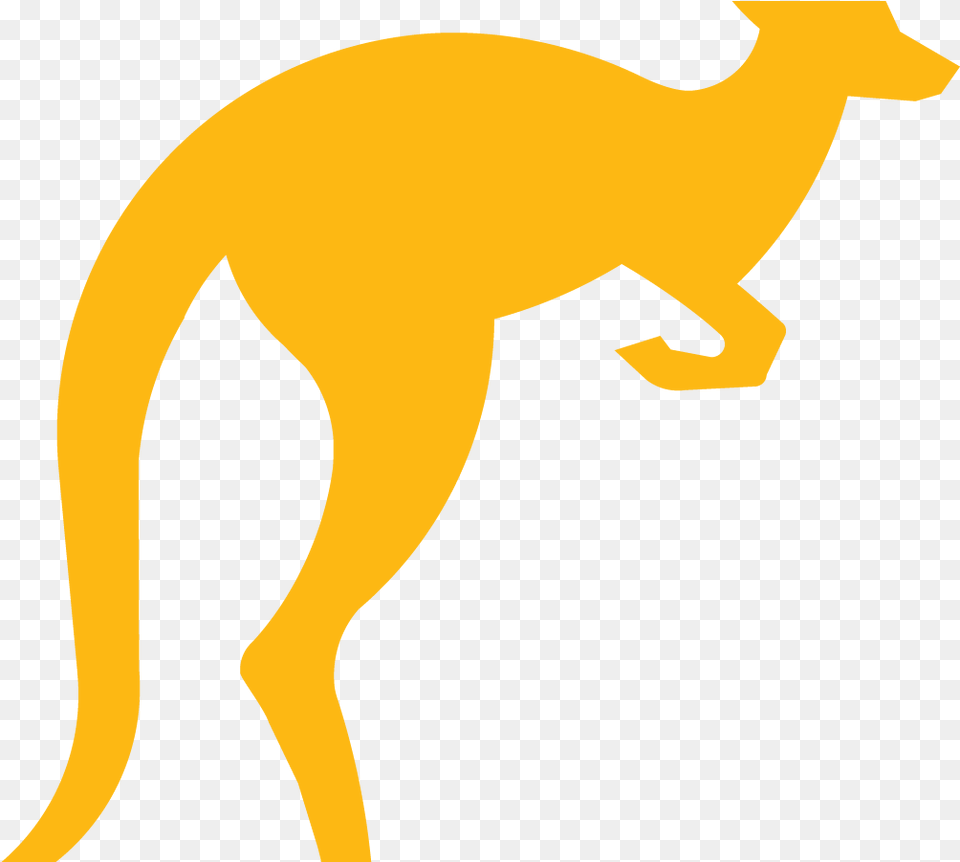 Now Kangaroo, Animal, Mammal, Person Free Png Download