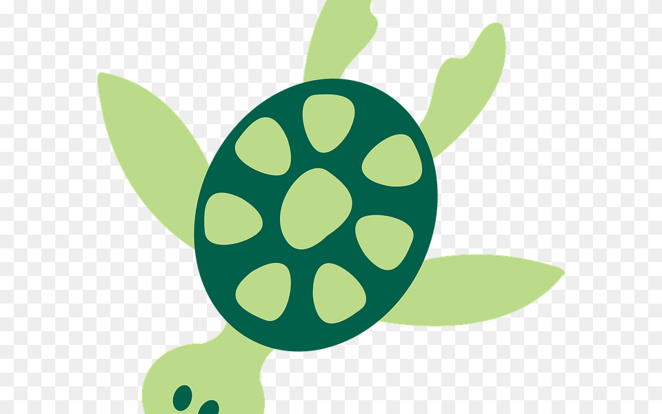 Download Ocean Animals Clip Art Sea Turtle Clipart, Animal, Reptile, Sea Life, Tortoise Png