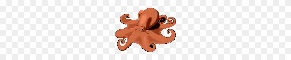 Download Octopus Category Clipart And Icons Freepngclipart, Animal, Invertebrate, Sea Life Png