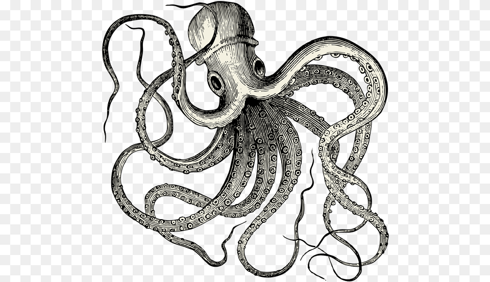 Download Octopus Vintage, Animal, Sea Life Free Transparent Png