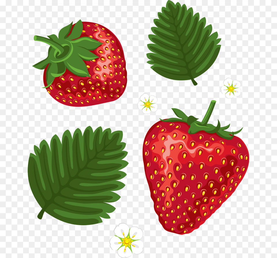 Of Strawberry Icon Strawberry Leaves Clip Art, Berry, Food, Fruit, Plant Free Png Download