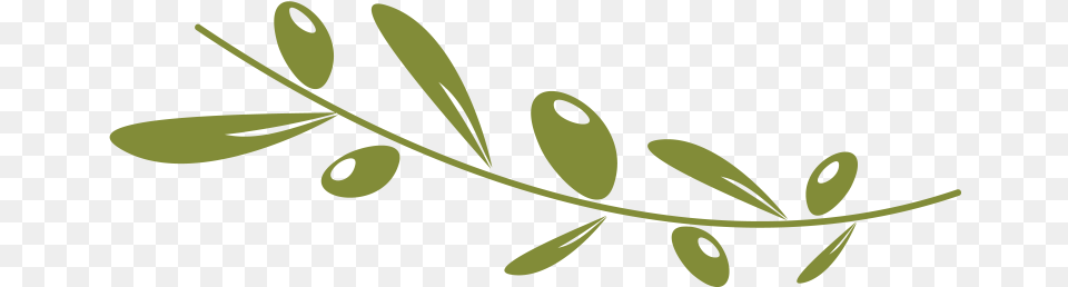 Olive Oil Images Olive, Leaf, Art, Floral Design, Graphics Free Png Download