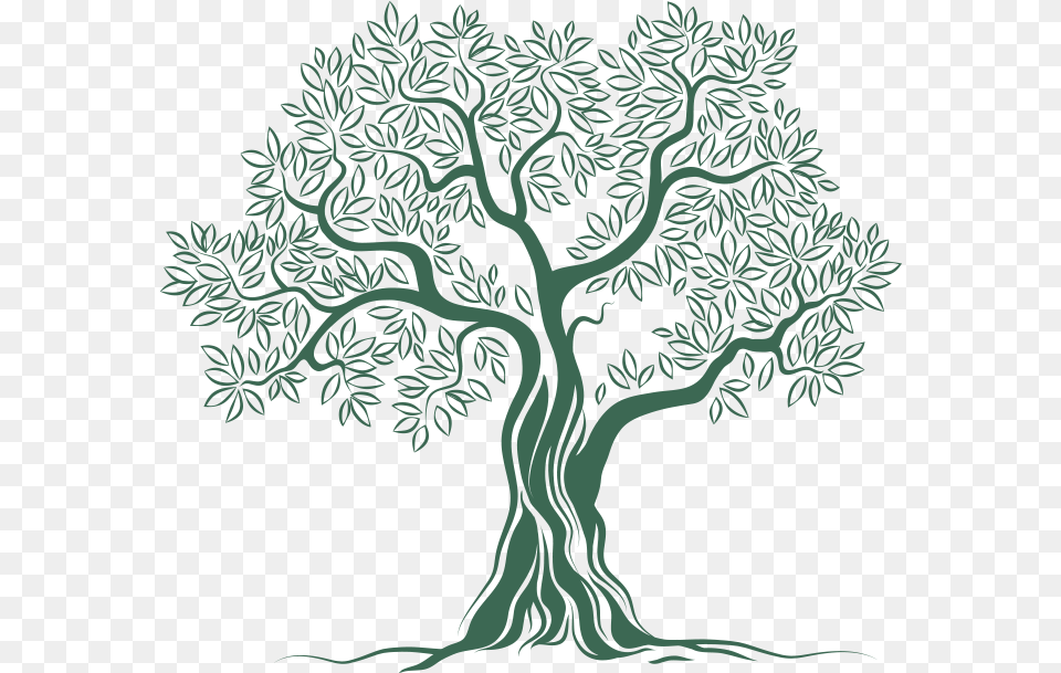 Download Olive Tree Logo Image Olive Tree Logo, Art, Plant, Drawing, Vegetation Free Transparent Png