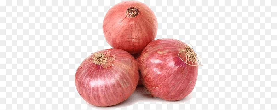 Download Onion, Food, Produce, Plant, Vegetable Png Image
