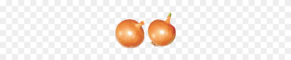 Download Onion Photo And Clipart Freepngimg, Food, Plant, Produce, Vegetable Free Transparent Png