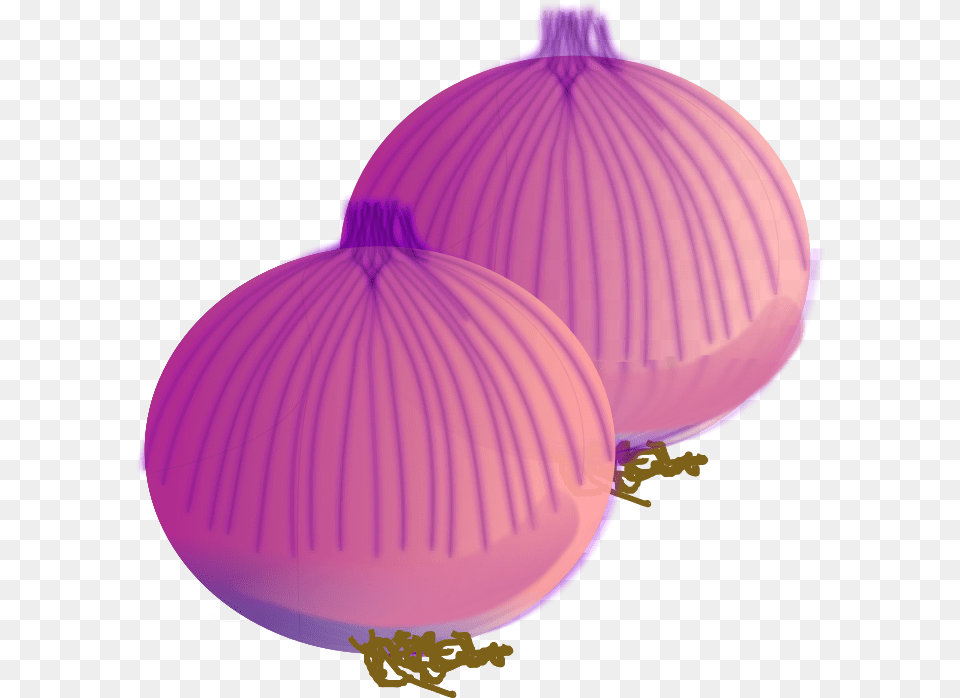 Onion Vector Hq Image In Onions Clipart, Purple, Food, Plant, Produce Free Png Download