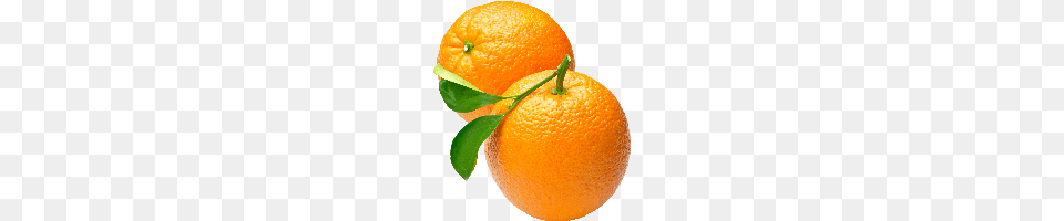 Download Orange Free Photo And Clipart Freepngimg, Citrus Fruit, Food, Fruit, Plant Png