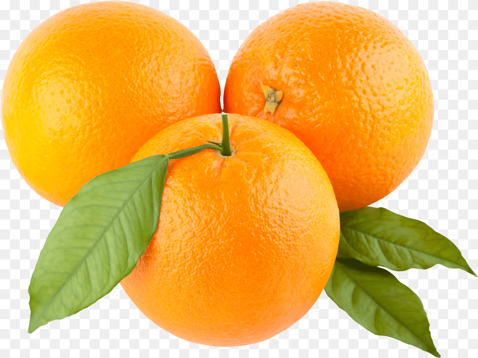 Download Orange Hq Oranges Clipart, Citrus Fruit, Food, Fruit, Plant Png
