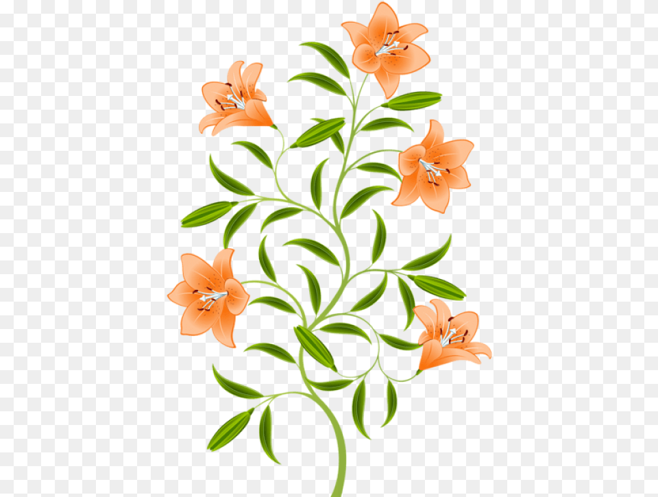 Download Orange Lily Images Background Tiger Lily Flower Art, Pattern, Plant, Floral Design, Graphics Png Image