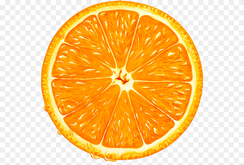 Download Orange Slice Clipart Transparent Background Orange Slice, Citrus Fruit, Food, Fruit, Grapefruit Png