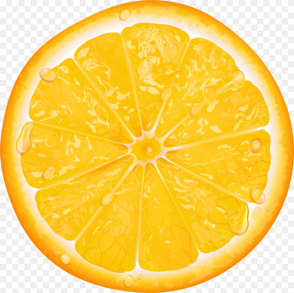 Orange Slice Lemon Slice Transparent Free Png Download