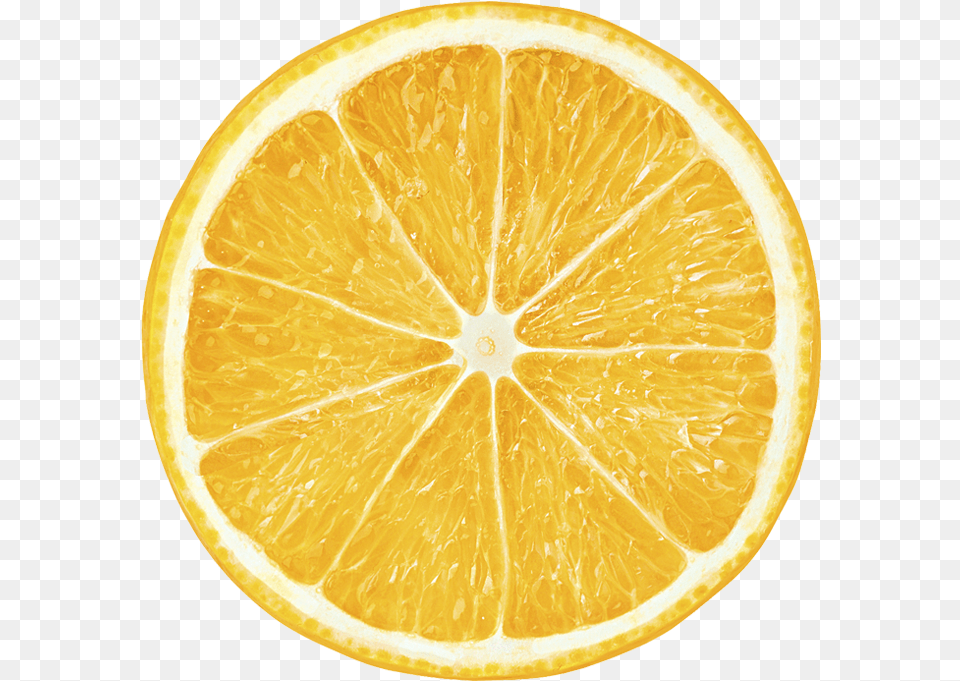 Orange Slices Transparent Images Lemon Slice Transparent Background, Citrus Fruit, Food, Fruit, Plant Free Png Download