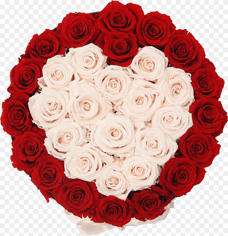 Download Orb Grand Red And Baby Pink Heart Roses Rose Garden Roses, Flower, Flower Arrangement, Flower Bouquet, Plant Png Image