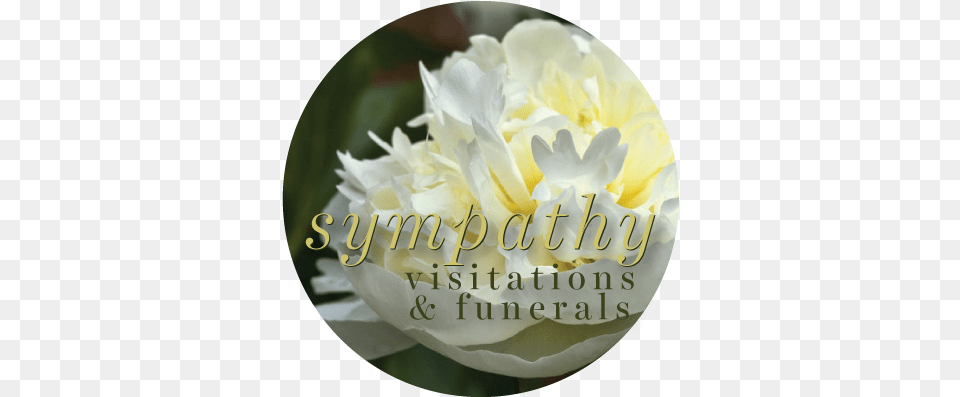 Download Order Online For Funeral Service U0026 Visitation Common Peony, Birthday Cake, Plant, Petal, Food Png