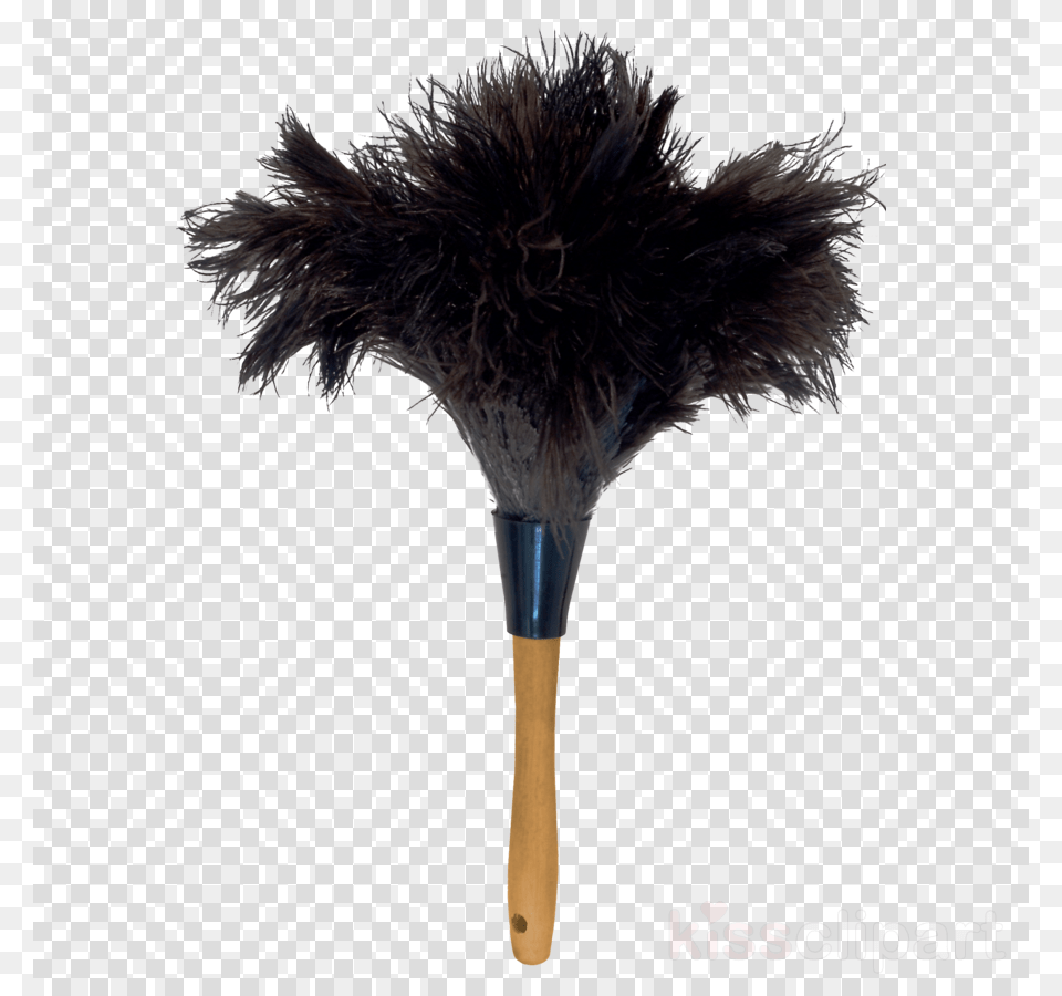 Download Ostrich Feather Duster Clipart Common Background Feather Duster, Animal, Bird, Broom Free Png