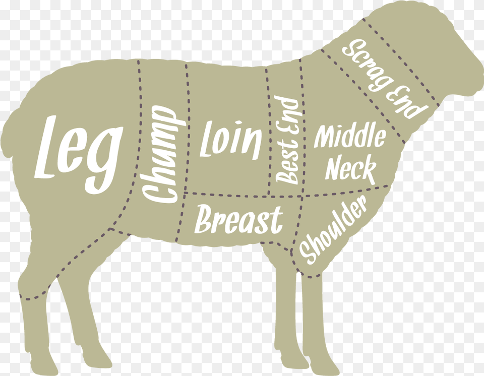Download Our Butchers Hang The Lambs For 7 Days Which Animal Figure, Livestock, Person, Mammal Png