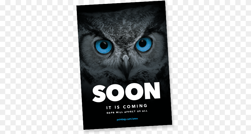 Download Our Guide To Gdpr Below Now Green Owl Eyes, Advertisement, Poster, Animal, Book Free Transparent Png