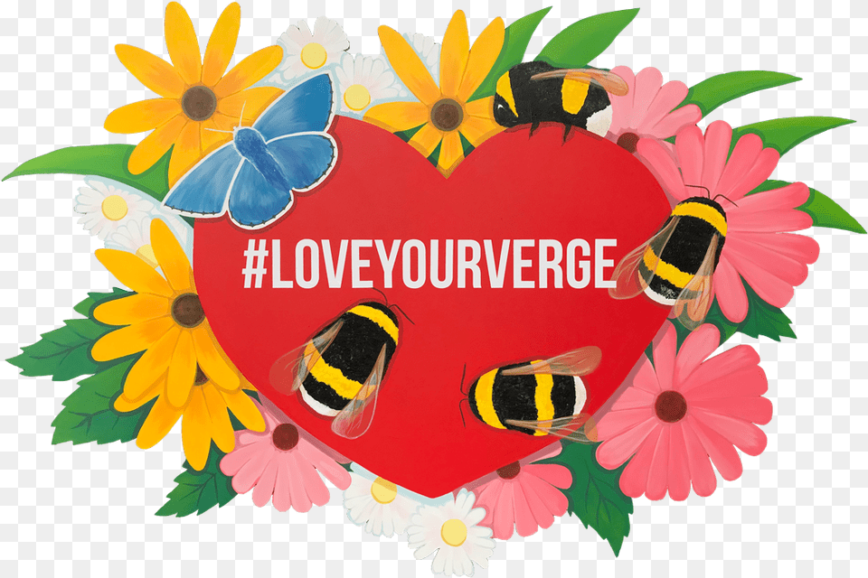 Download Our Love Your Verge Resources And Carry On Sunflower, Plant, Petal, Daisy, Flower Png Image