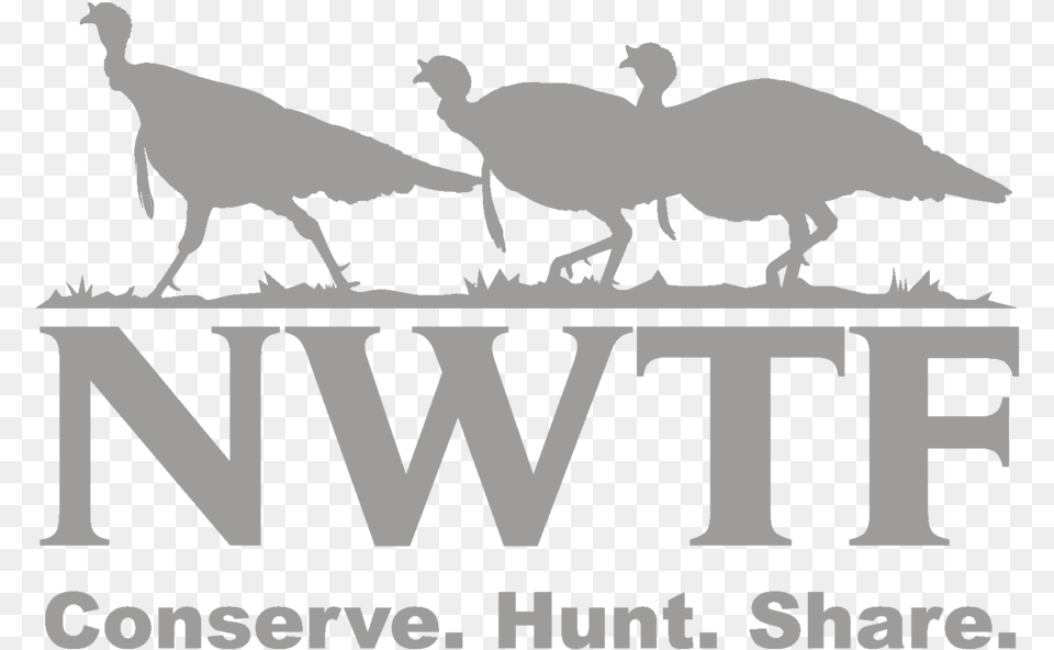 Download Outdoor Recreational Company Of America 20 National Wildlife Turkey Federation, Animal, Bird Free Transparent Png