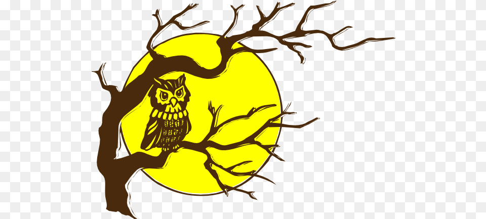 Download Owl And Moon Owl On A Tree Drawing Png