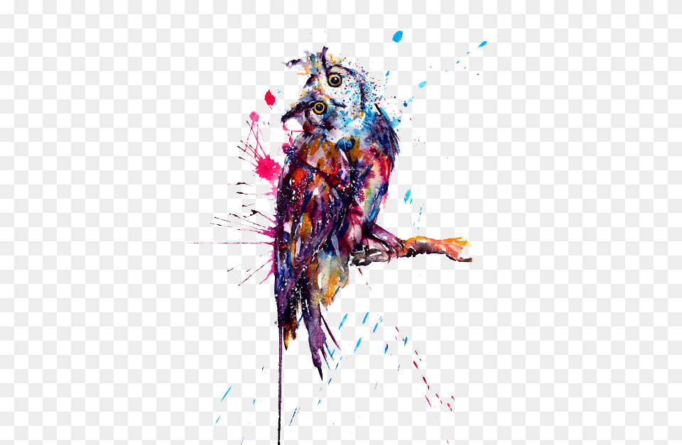 Download Owl Tattoo Watercolor Painting Paint Splatter Tattoo Art, Fireworks, Animal, Bird, Graphics Png Image