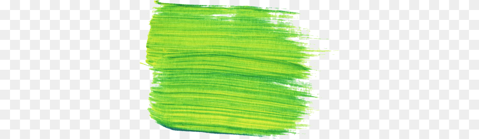 Download Paint And Clipart, Green, Leaf, Plant, Texture Png Image