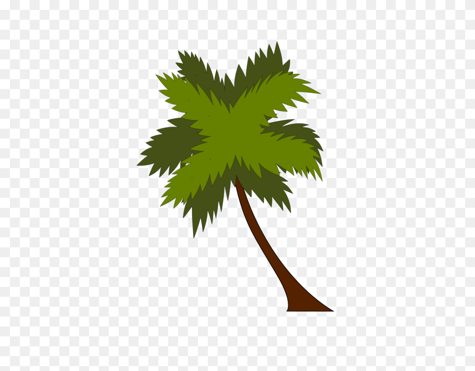Download Palm Coconut Tree Vector Full Size Beach Resort, Leaf, Palm Tree, Plant, Vegetation Png Image