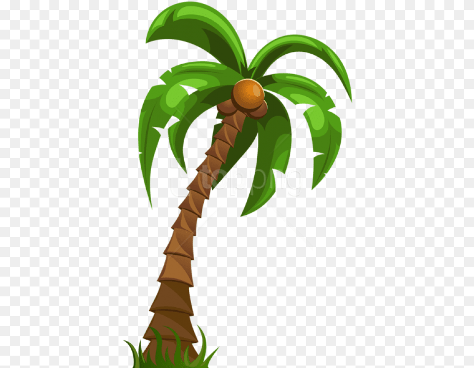 Download Palm Images Background Cartoon Palm Tree, Palm Tree, Plant, Food, Fruit Free Transparent Png