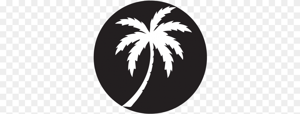 Download Palm Silhouette Projected Image Palm Tree Palm Tree Circle Logo Transparent, Leaf, Plant, Stencil, Person Free Png