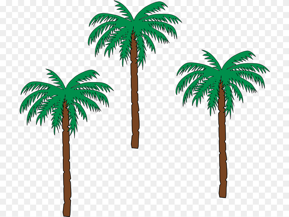 Download Palm Tree 22 Buy Clip Art Small Palm Tree Pom Trees, Palm Tree, Plant, Vegetation, Outdoors Free Png