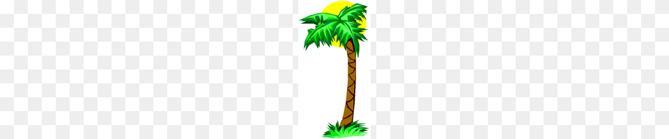 Download Palm Tree Category Clipart And Icons Freepngclipart, Palm Tree, Plant, Animal, Bird Free Png