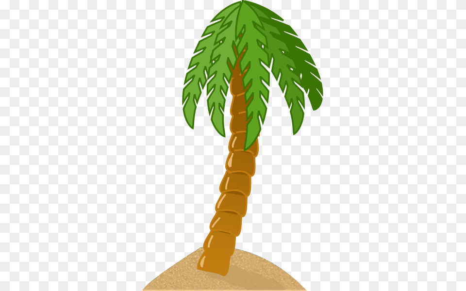 Palm Tree Clipart, Palm Tree, Plant, Person Free Png Download