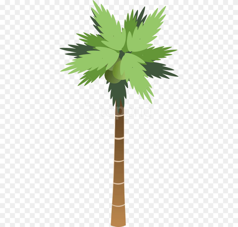 Download Palm Tree Clipart Photo Images, Palm Tree, Plant Free Png