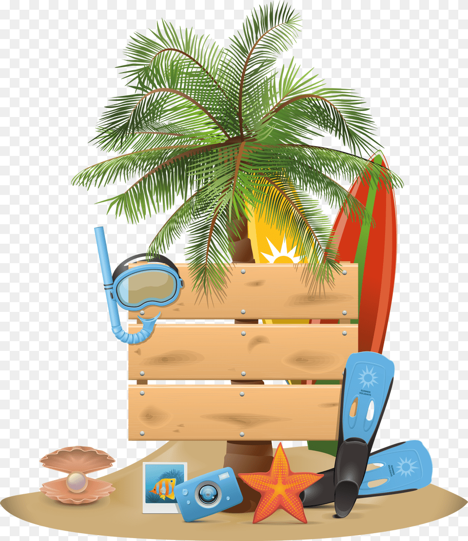 Download Palm Tree Uokplrs Free Transparent Png