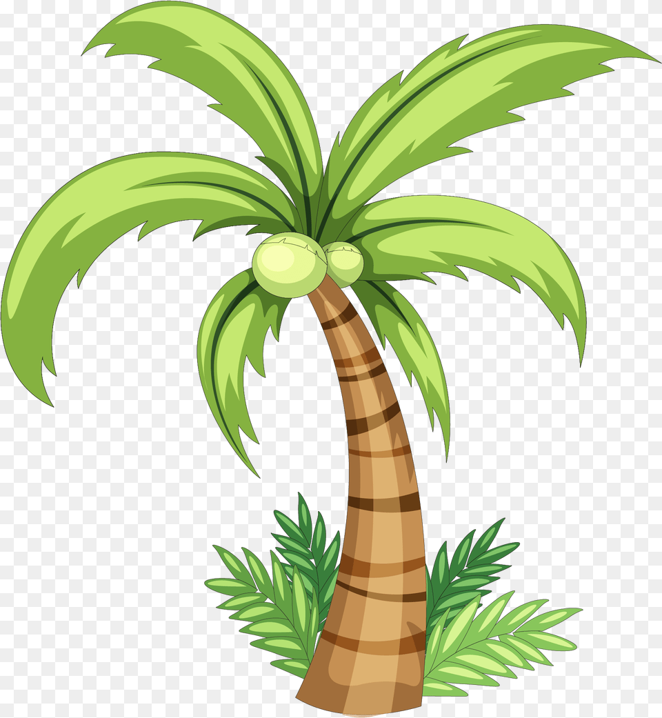 Download Palm Tree Watercolor Image Drawing Coconut Tree, Palm Tree, Plant Free Transparent Png