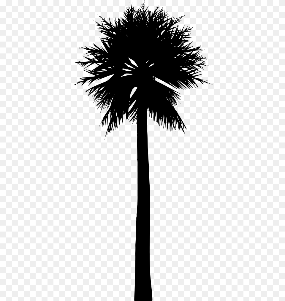 Download Palm Trees, Gray Png Image