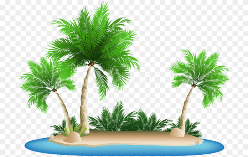 Download Palm Trees Islandpicture Clipart Beach Palm Tree, Palm Tree, Plant, Vegetation, Outdoors Free Transparent Png