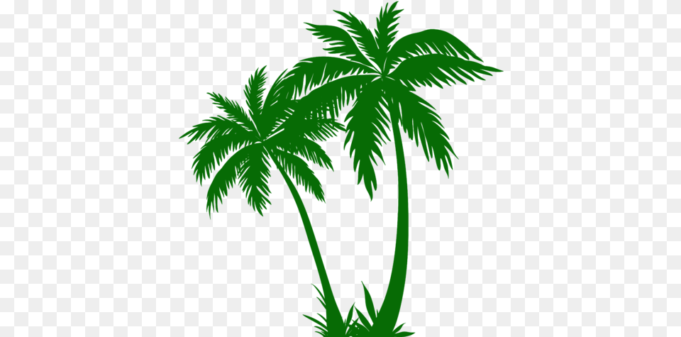 Download Palm Trees Silhouette Clip Art Imagee Wind Silhouette, Green, Palm Tree, Plant, Tree Free Transparent Png