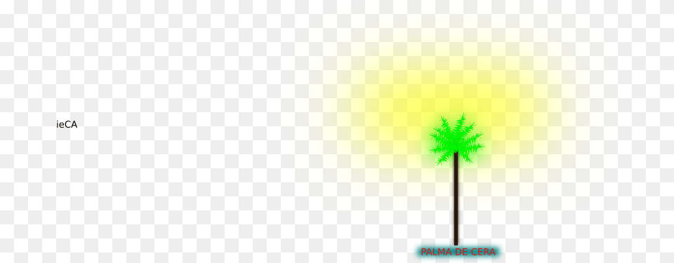 Palma De Cera Dlpngcom Tree, Flower, Plant, Astronomy, Moon Free Png Download