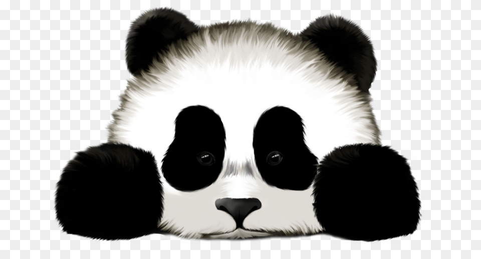 Download Panda Images Backgrounds Fake Pictures Of Pandas, Animal, Canine, Dog, Mammal Free Png