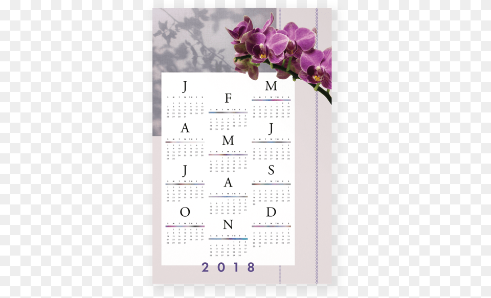 Pantone 2a Christmas Orchid Full Size Image Moth Orchid, Text, Calendar, Flower, Plant Free Png Download