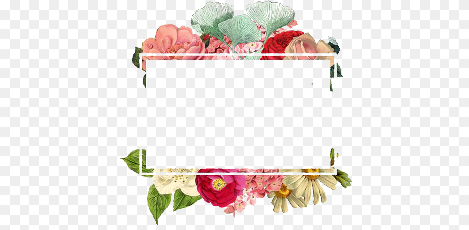 Download Paper Logo Flowers Flower Border Free Design Square Border, Art, Floral Design, Graphics, Pattern Png Image