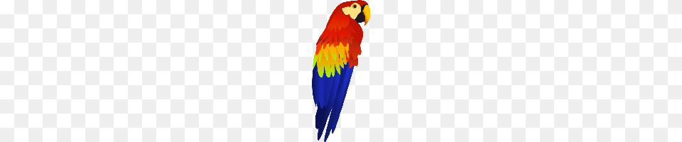 Download Parrot Photo Images And Clipart Freepngimg, Animal, Bird, Macaw Free Png