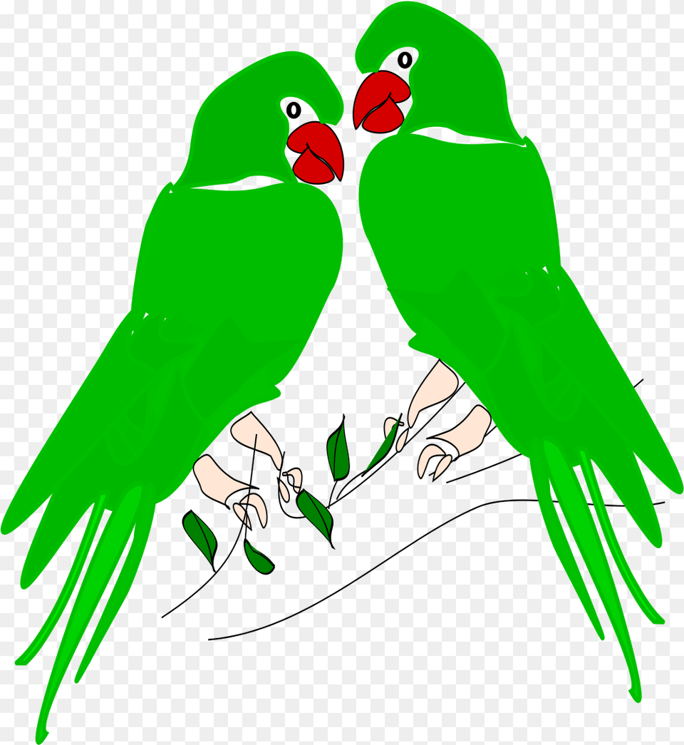 Parrotpngtransparentimagestransparent Parrots, Animal, Beak, Bird, Green Free Png Download