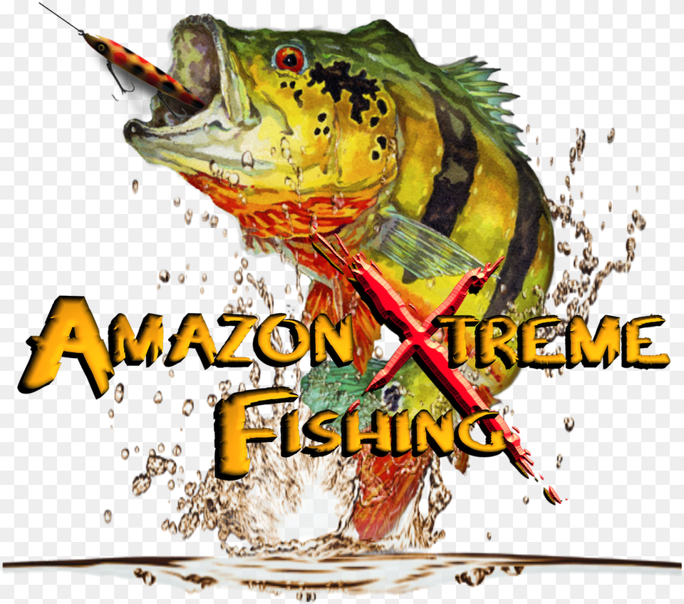 Download Pdf Team Fishing Peacock Bass, Animal, Dinosaur, Reptile, Fish Png Image