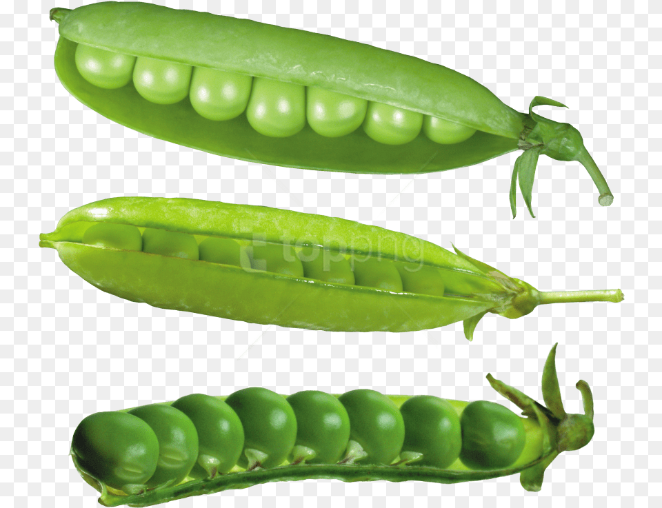 Download Pea Images Desenho Lentilha, Food, Plant, Produce, Vegetable Png Image